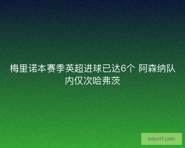 梅里诺本赛季英超进球已达6个 阿森纳队内仅次哈弗茨